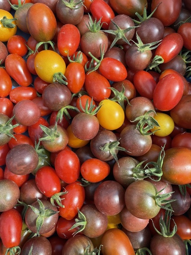 Tomate cerise mix couleur BIO - 2,5 Kg